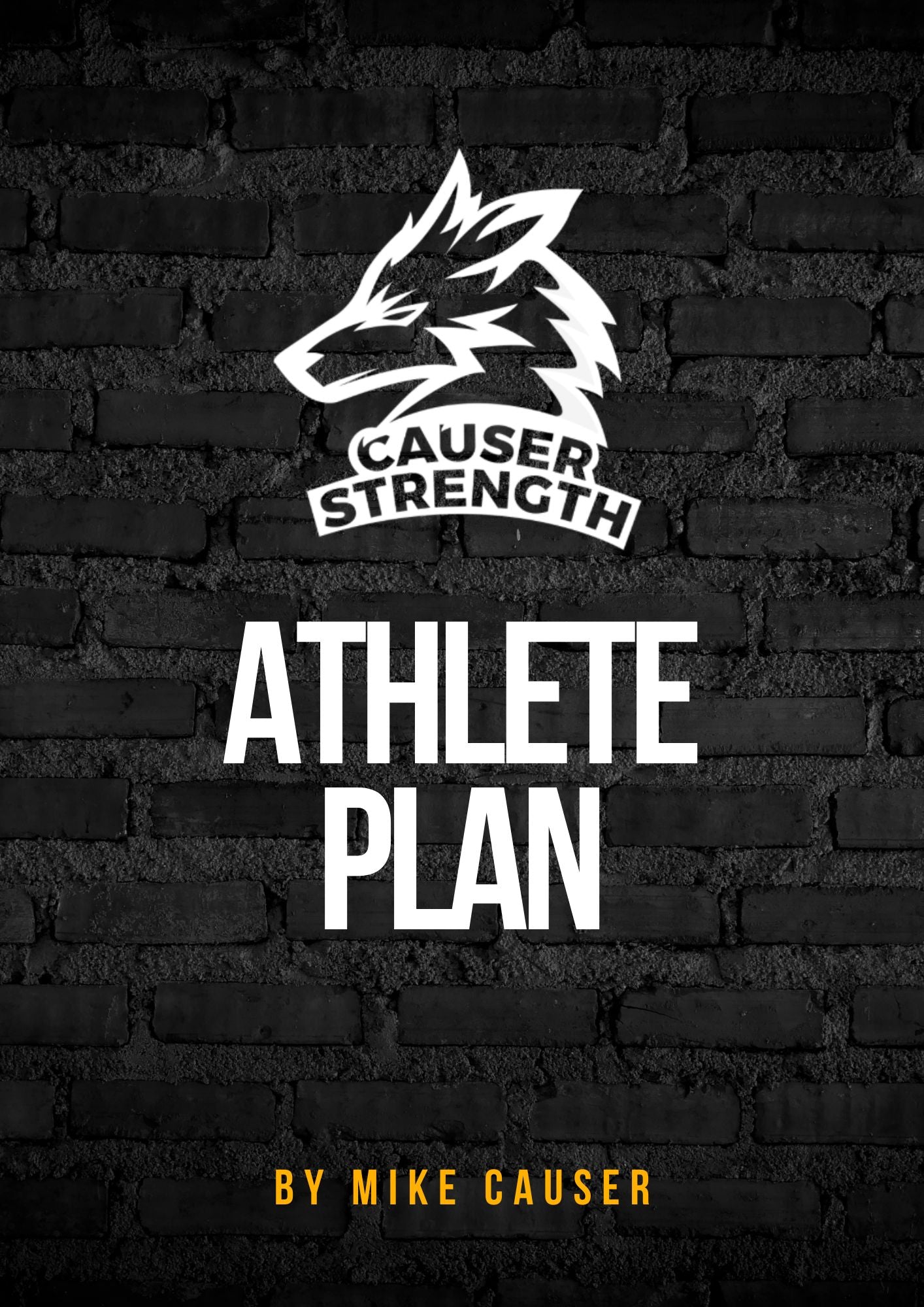 Athlete Plan