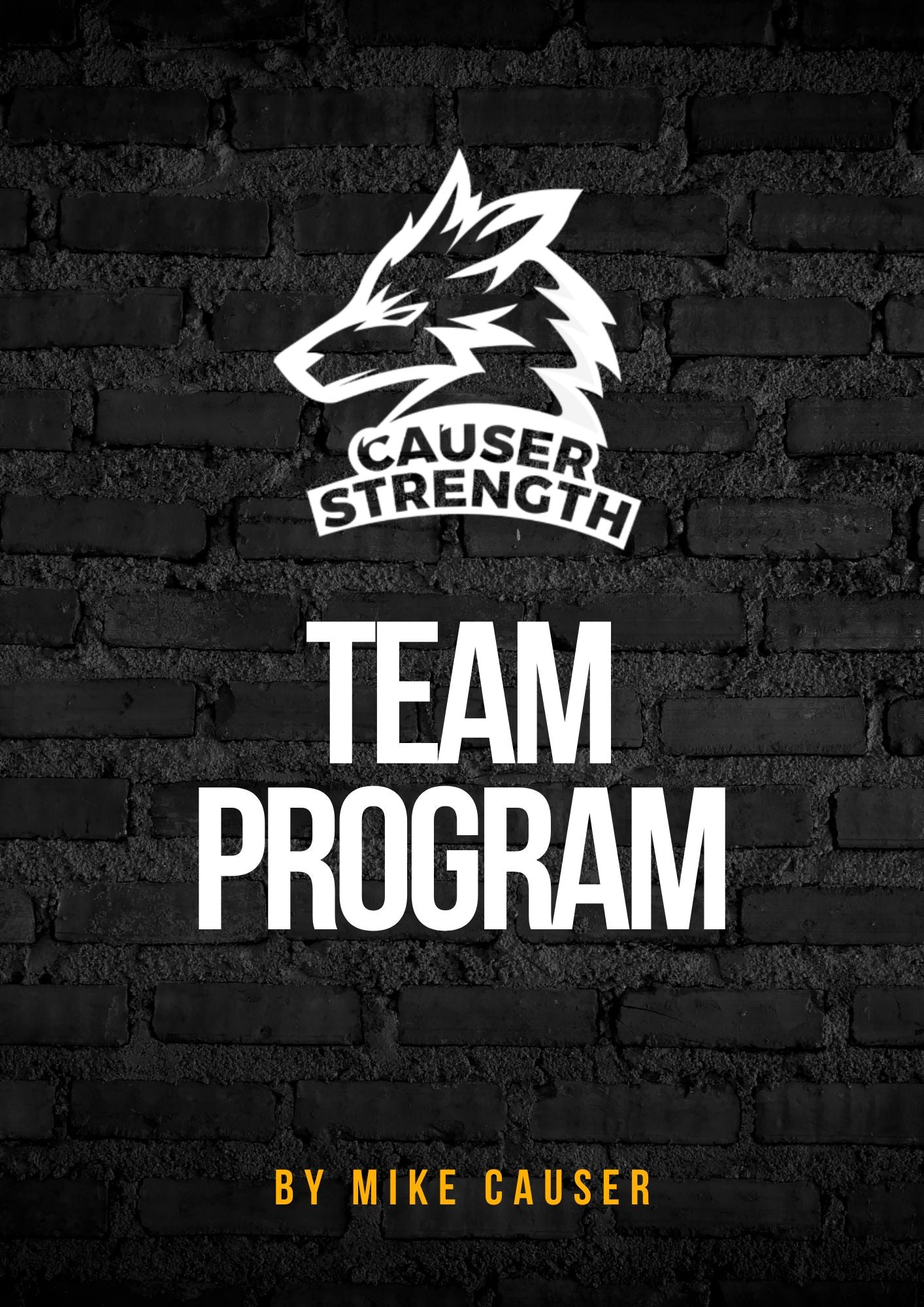 Weightlifting 5 Day - Team Program
